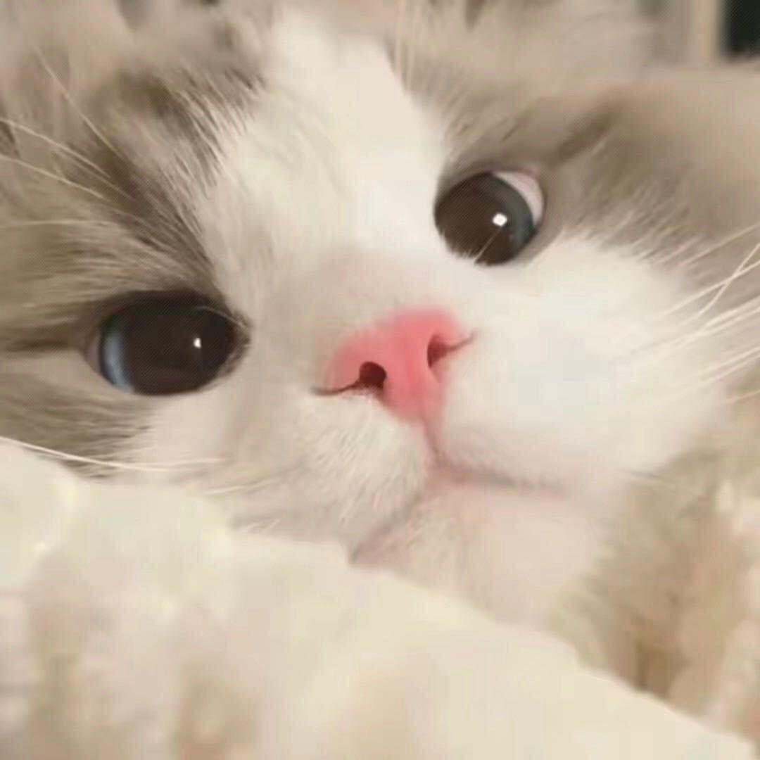 杭州租房A77