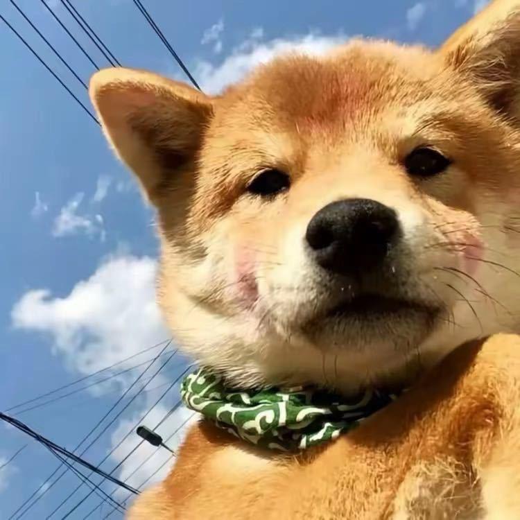 @毕小山