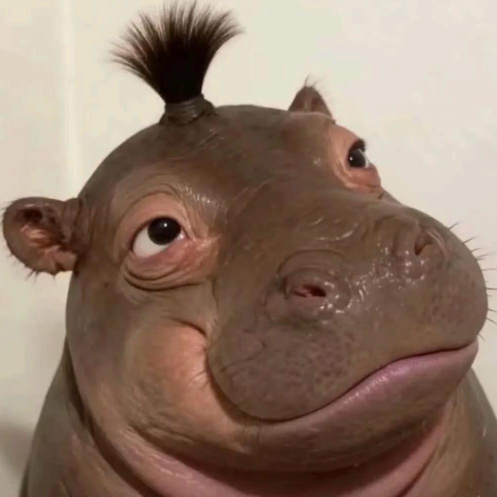 😂😂😂