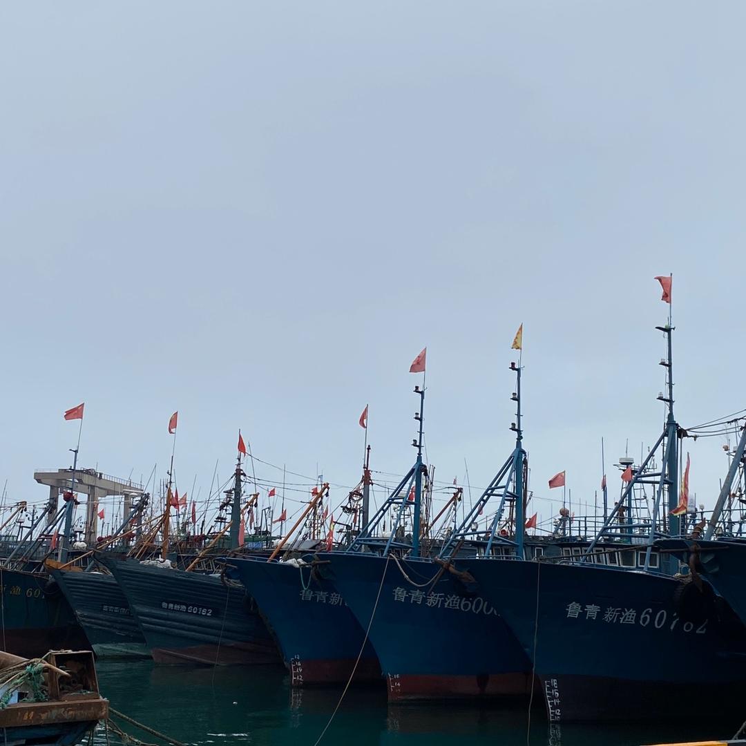 梦大海钓鱼饵厂