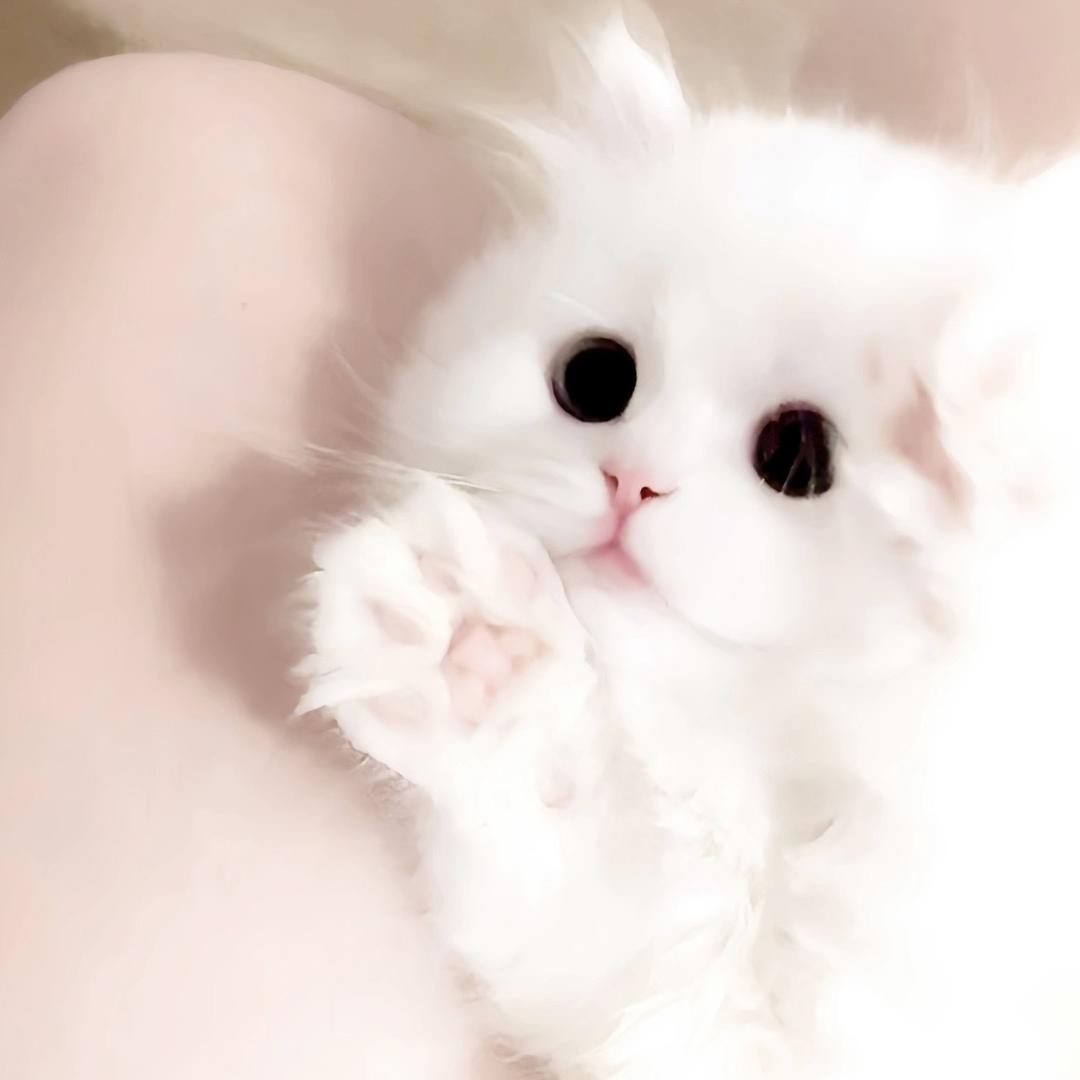 小真困困