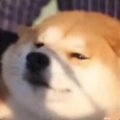 滚烫的大米饭、