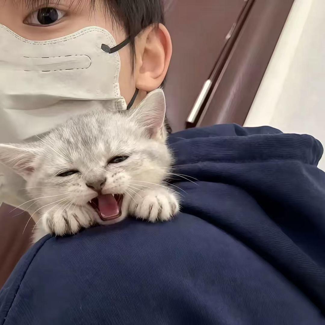 跟哥处黑龙江过户给你