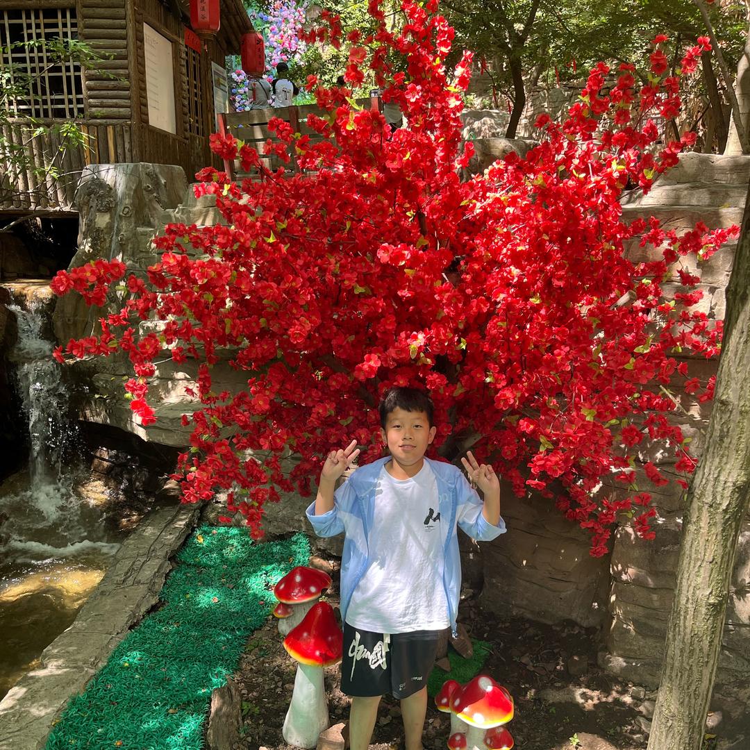 丛丛好物