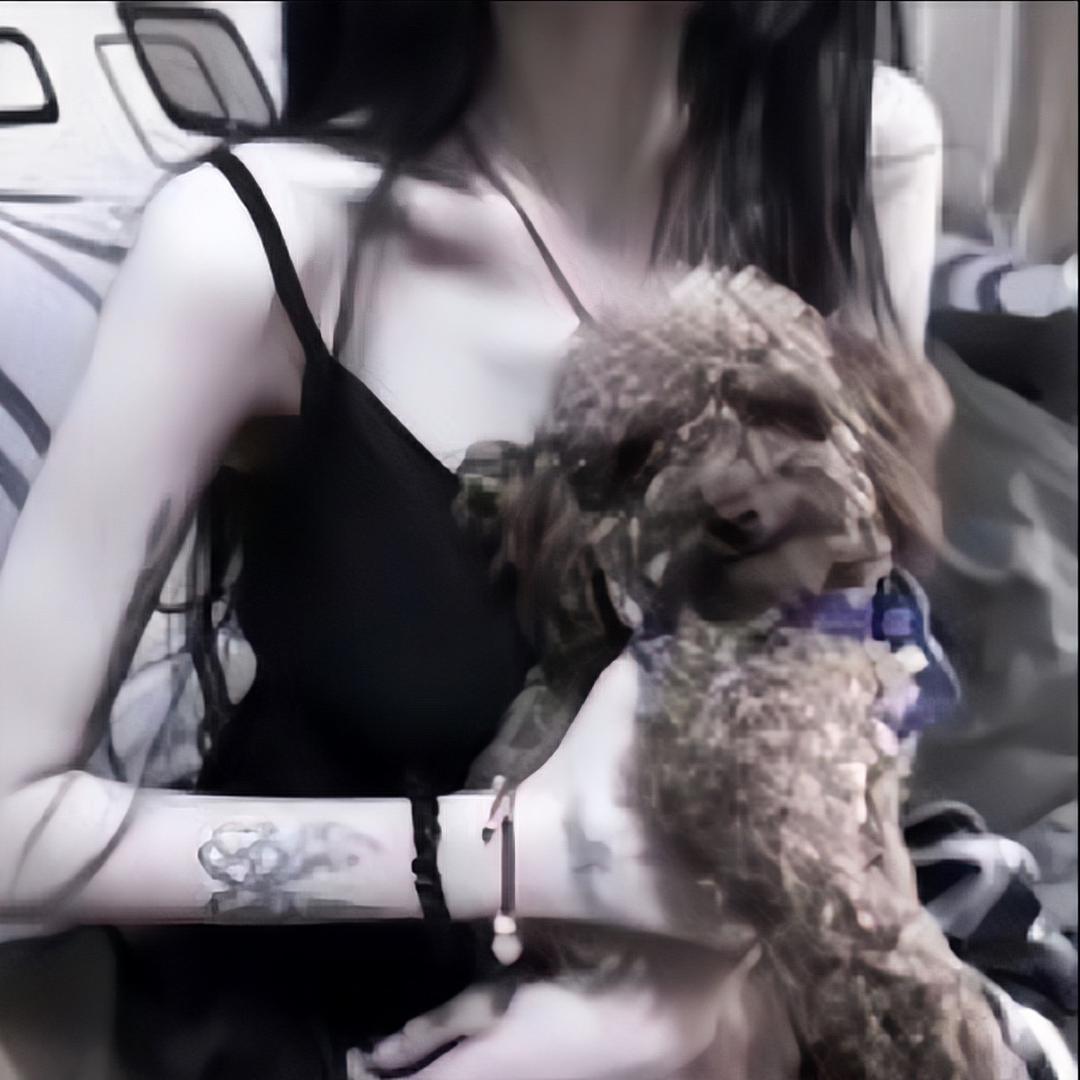贝爷