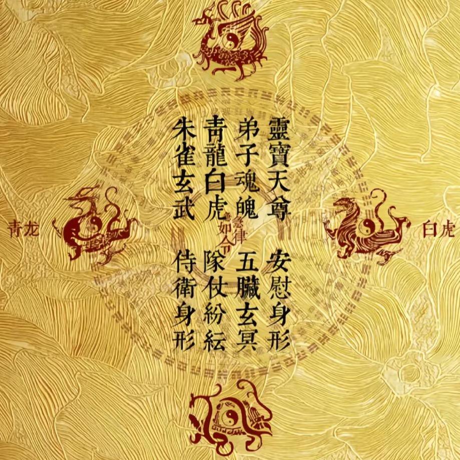 ❤️知心海棠姐