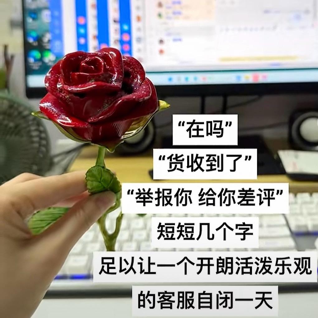 刘小厨(居家客服，jiao学)