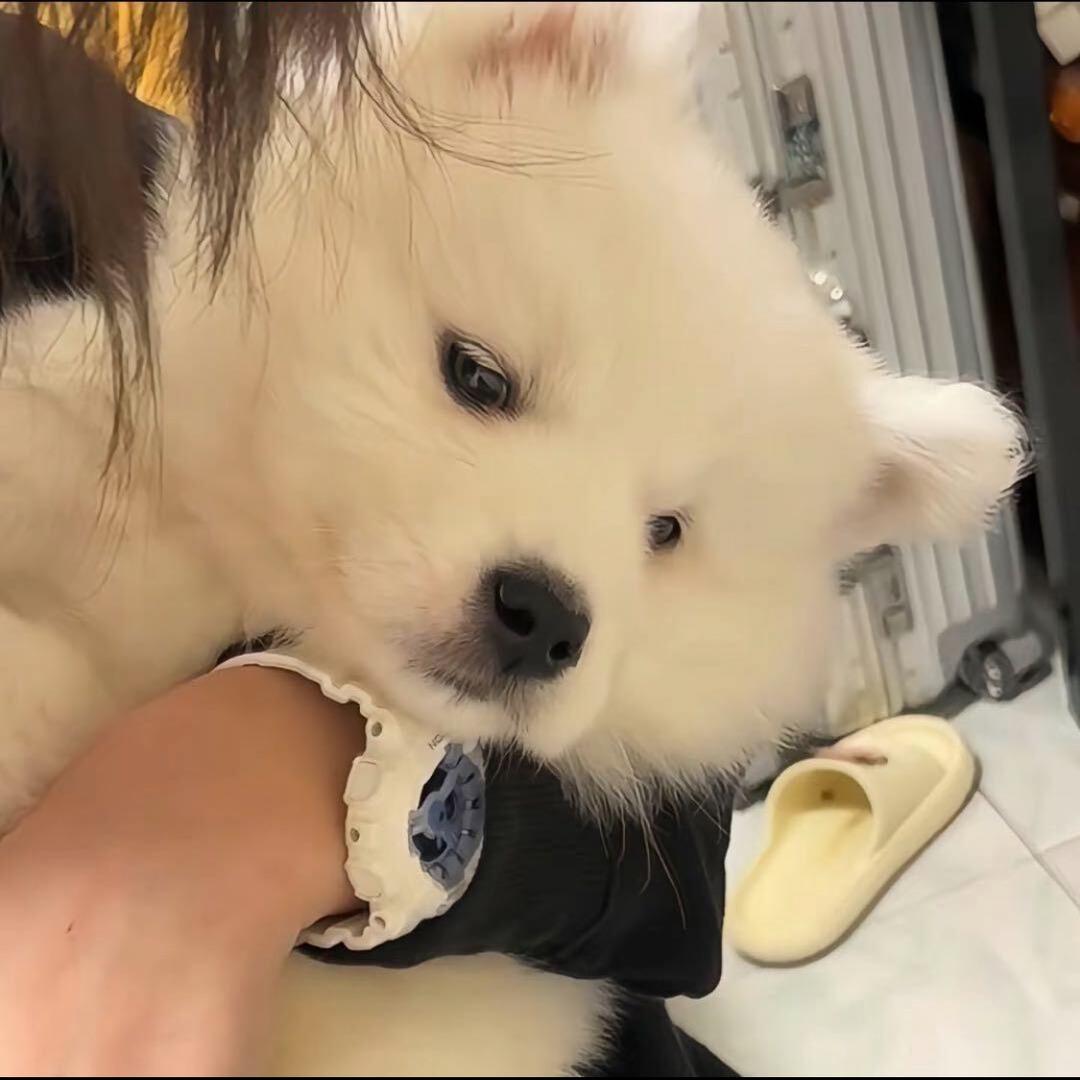 记得喊我起床