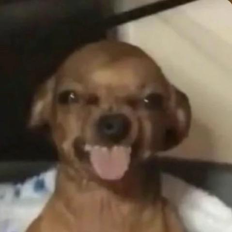 萌萌周一