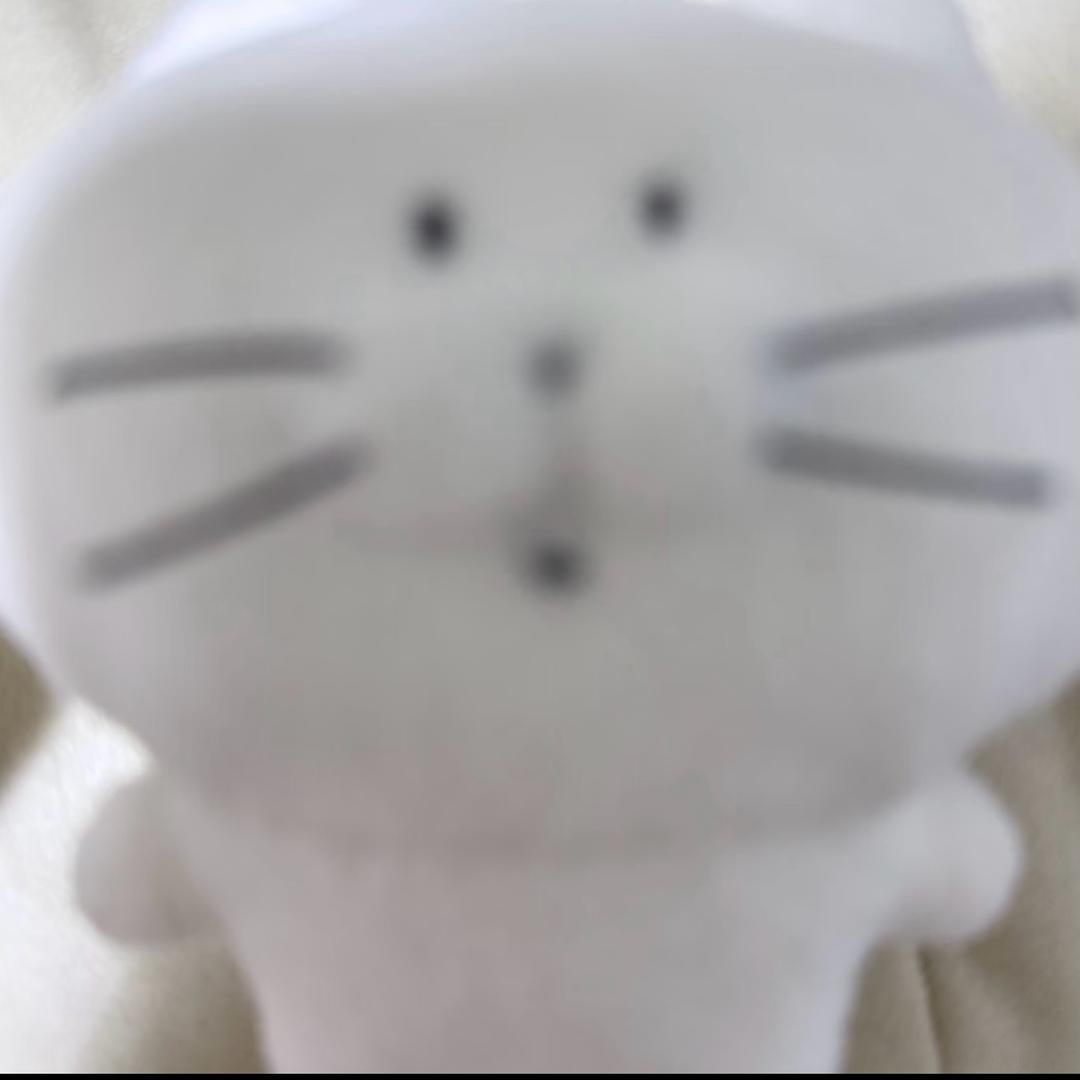 虫