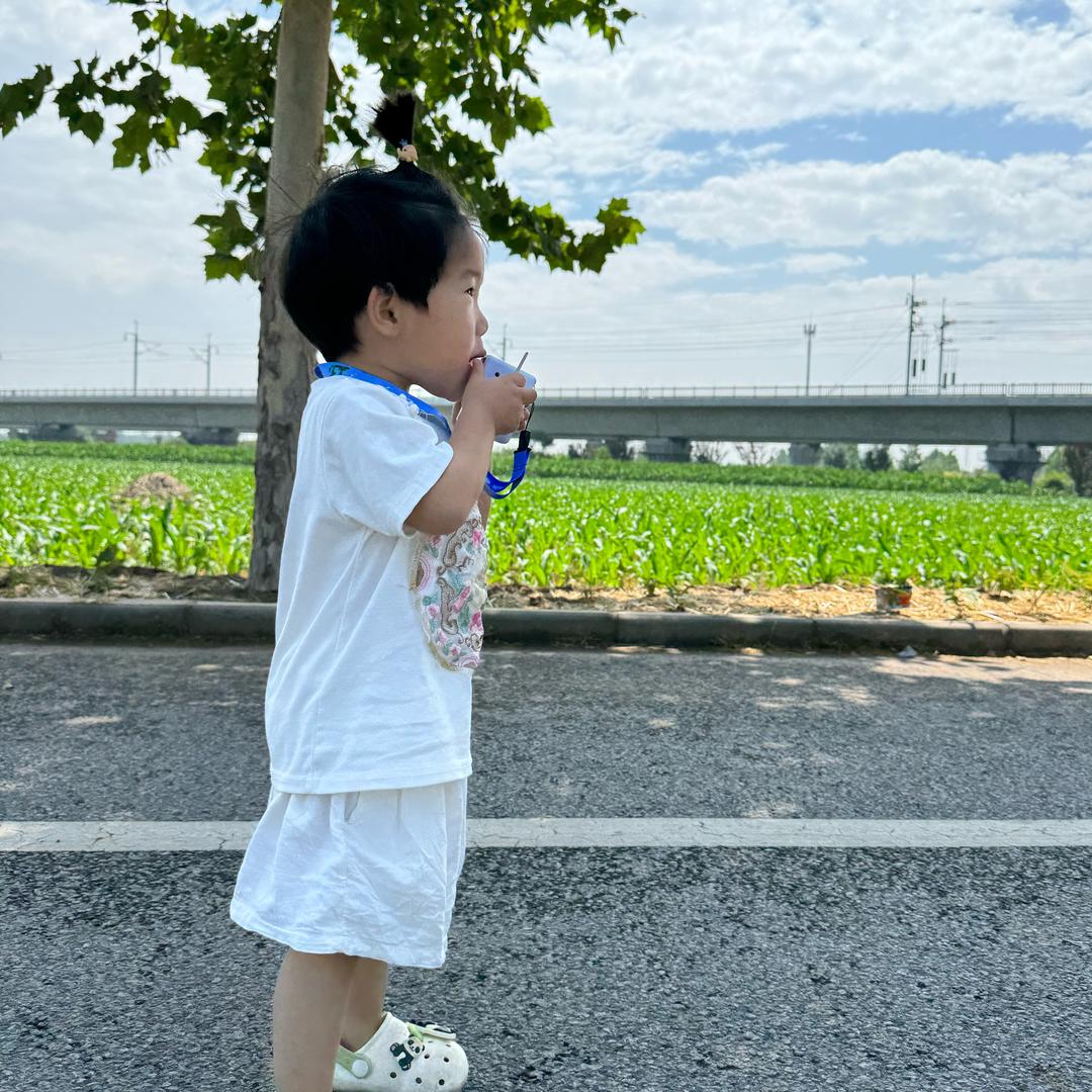 梨涡夏天