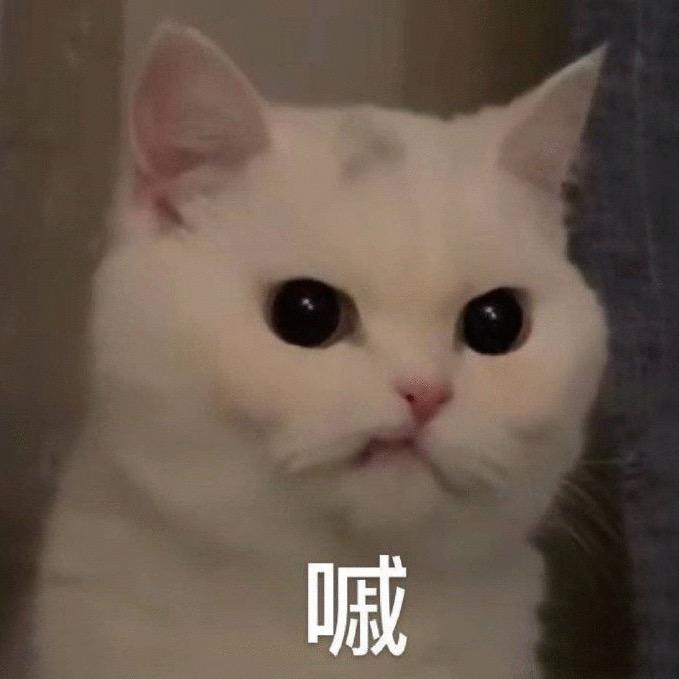 待会去码头整点薯条