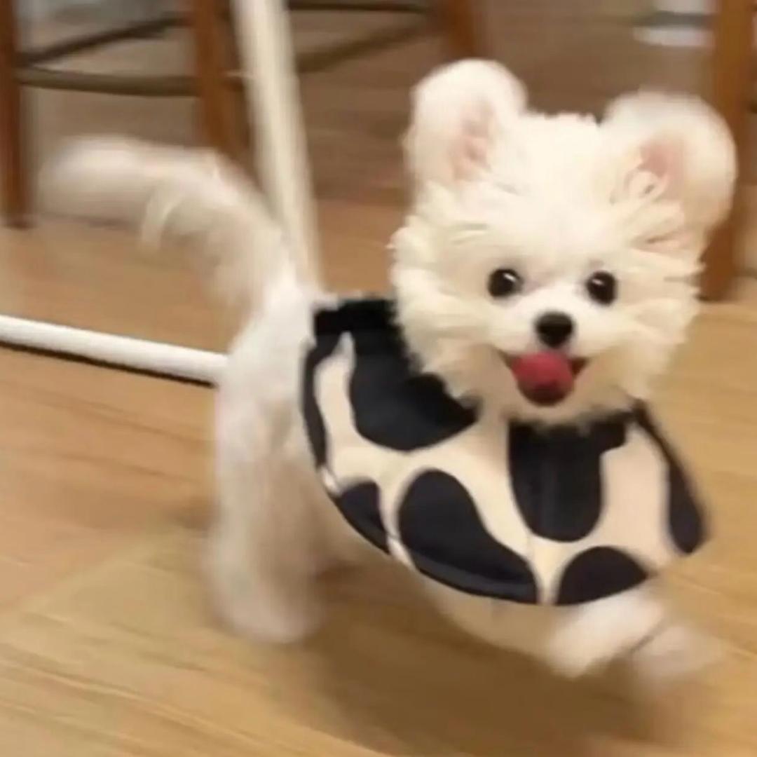 小王