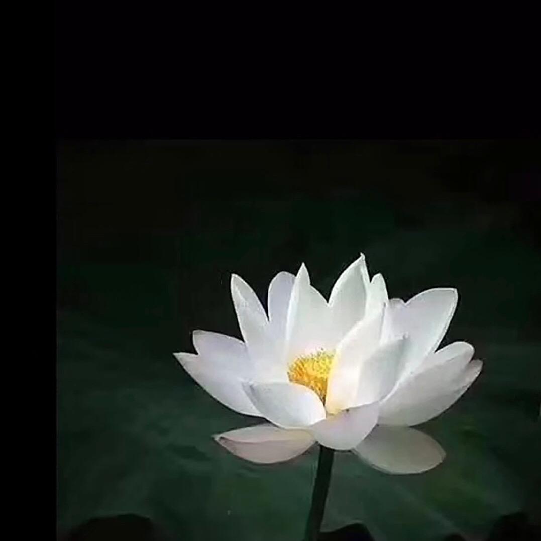 一如从前