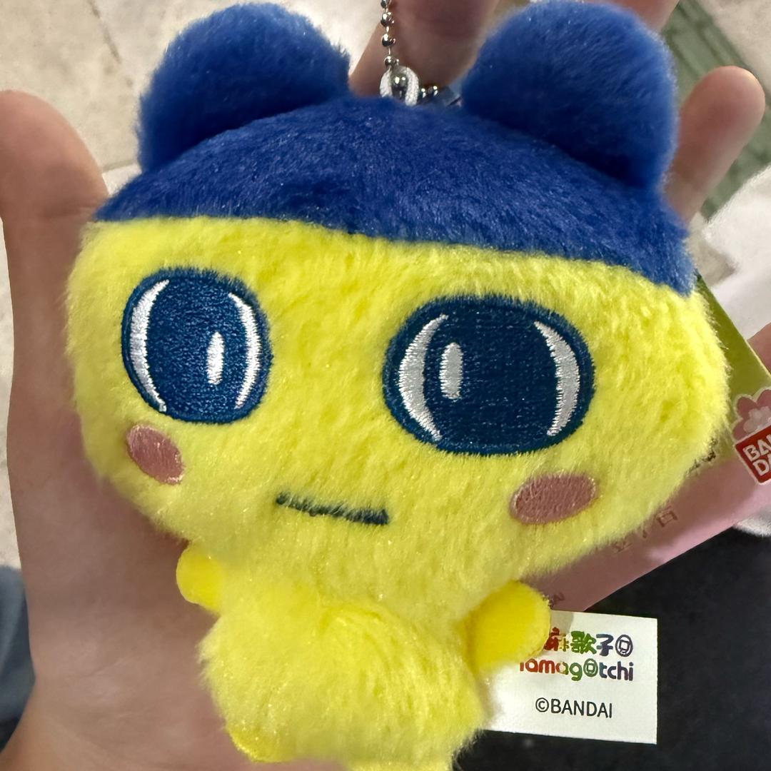 清庭凤梨