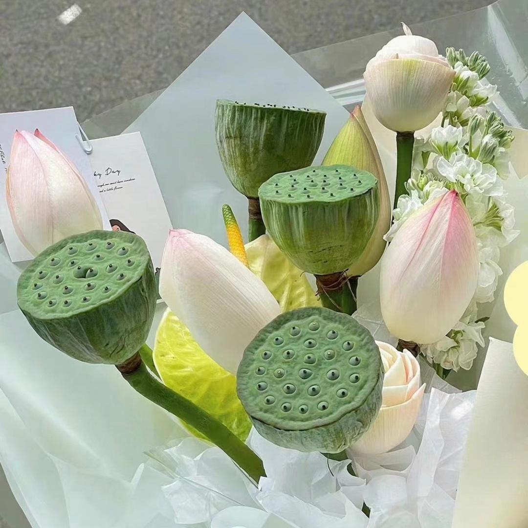 丽小小丽