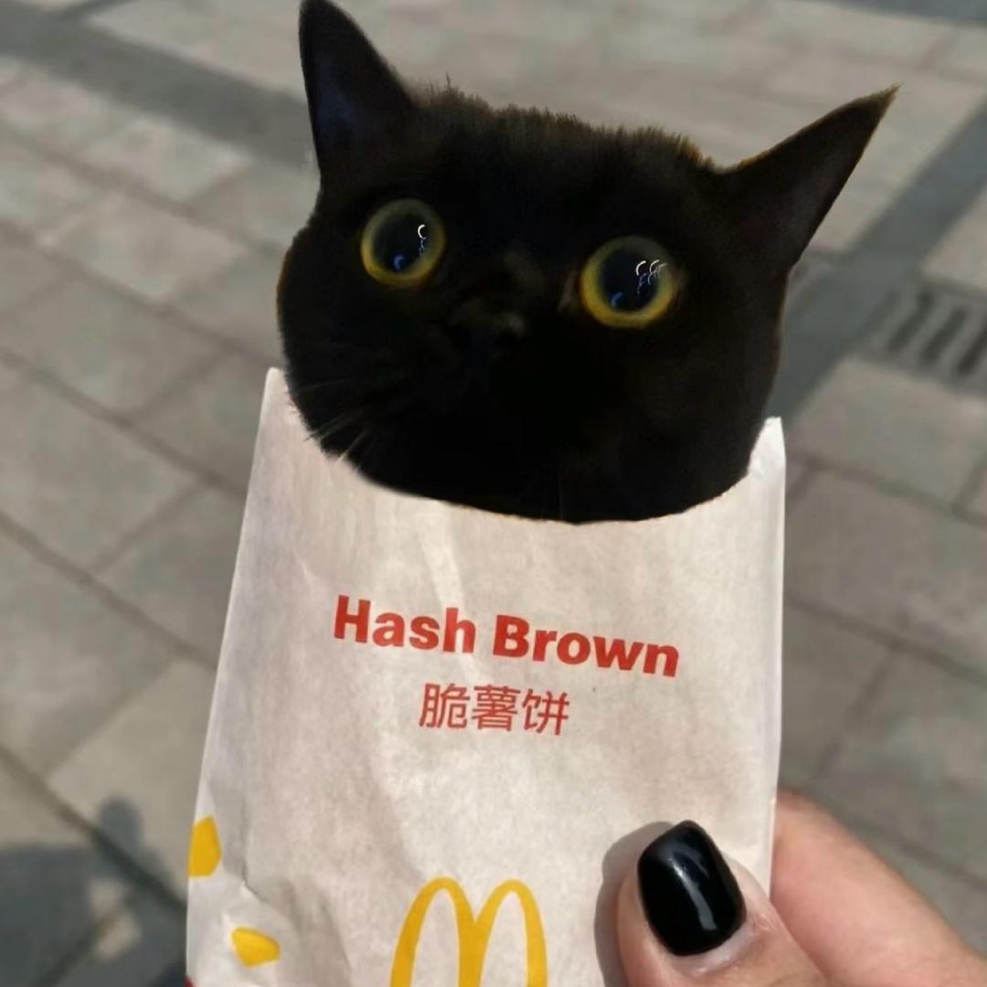 汐kkk