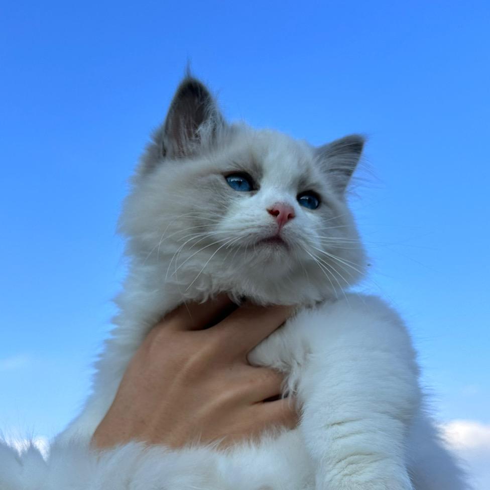 一只福宝宝🍼