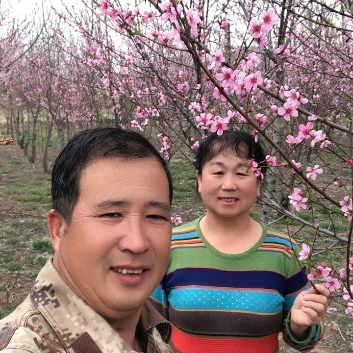 华哥华嫂(晚8:20直播)