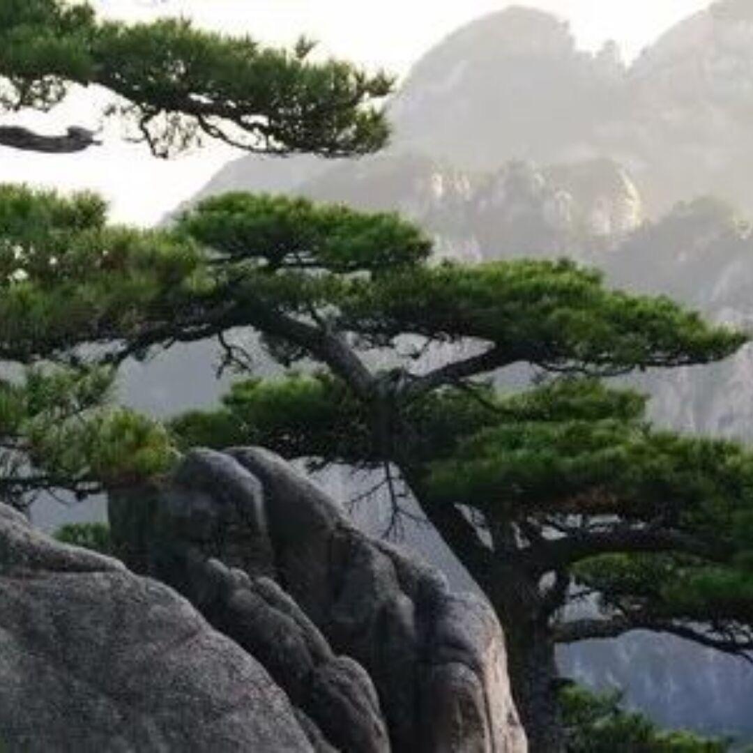 广阔的大地
