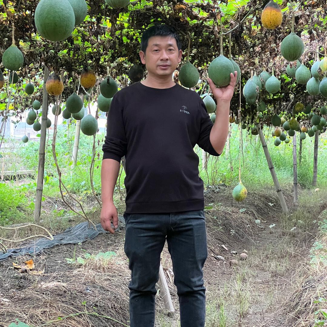 村播小何