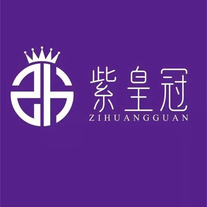 紫皇冠打底衫工厂