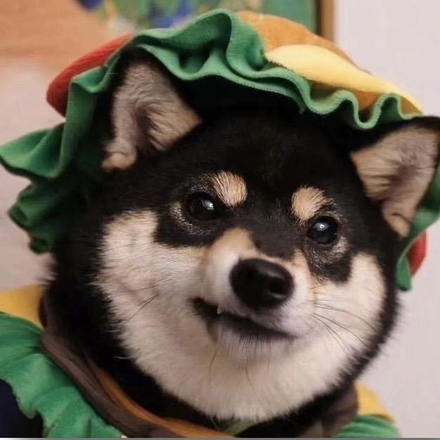 摆烂小🐢
