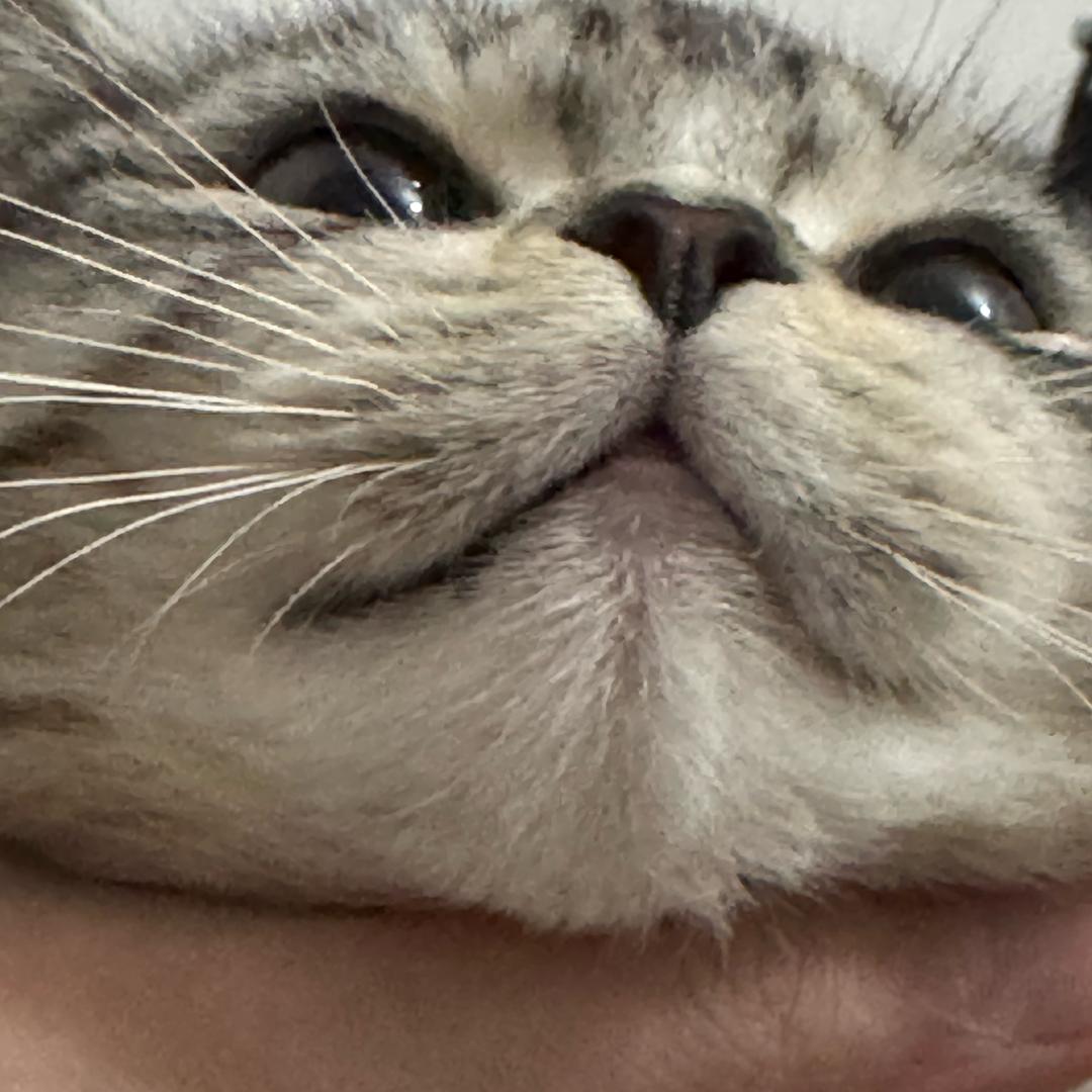 睡大觉