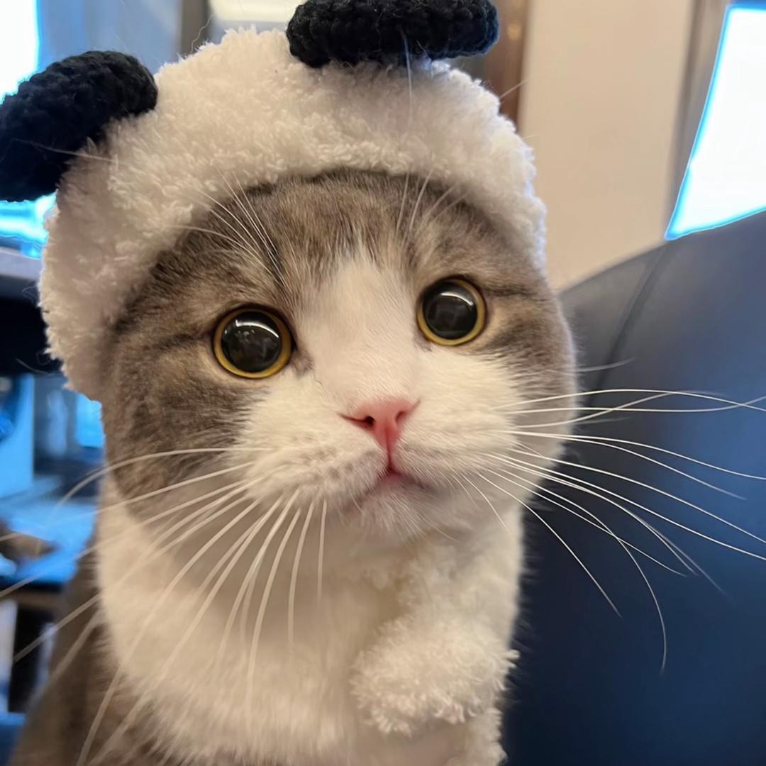 苏州小卡拉米！