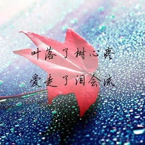 叶落知秋