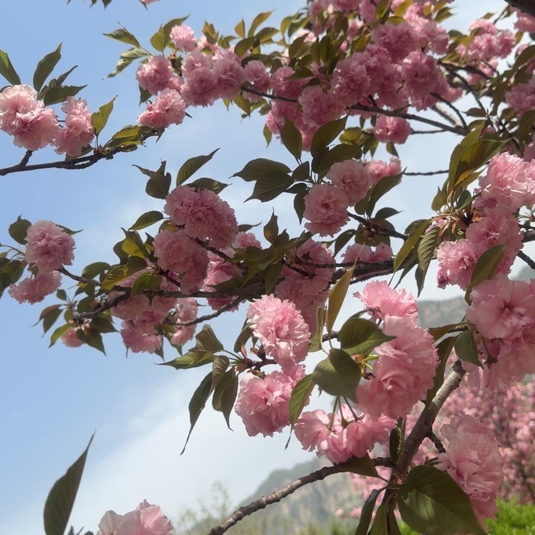 ༄༊幺……妹ღ᭄ꦿ࿐