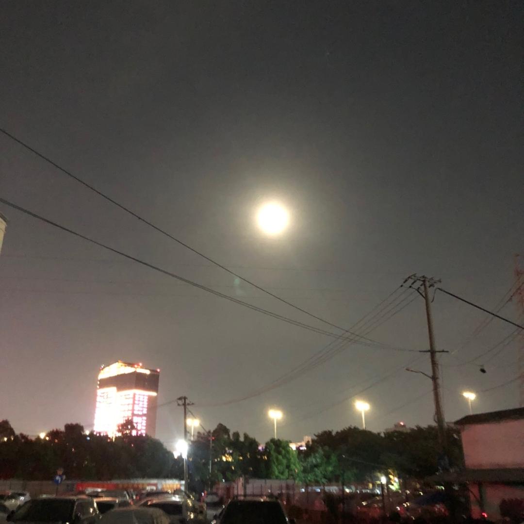 什么都不彗
