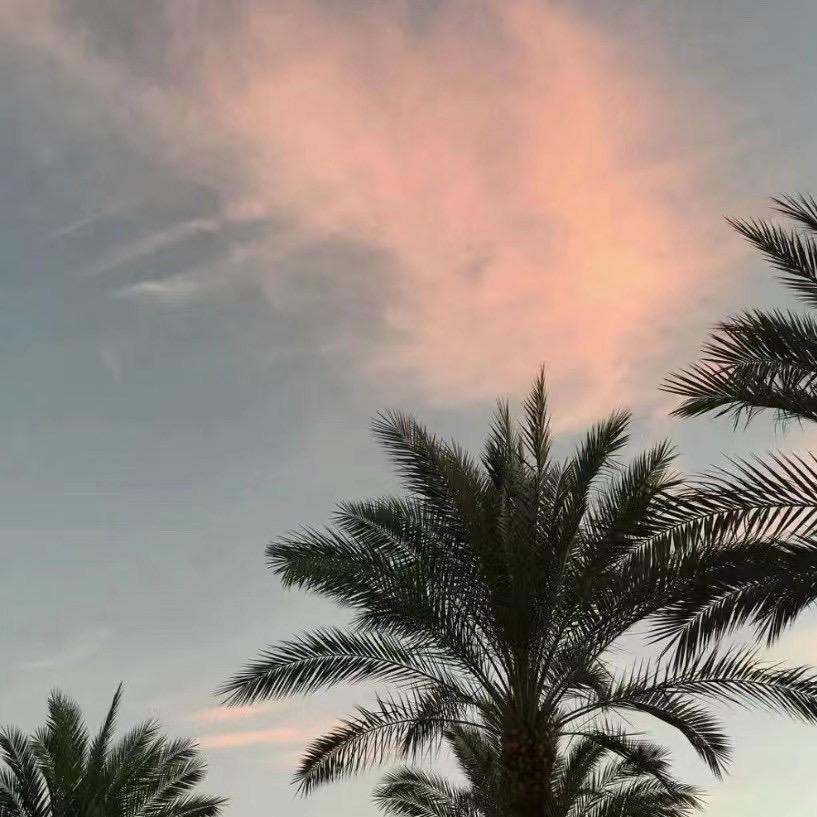 我是王宁呀