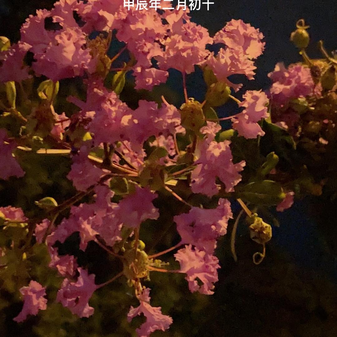 💭顺顺利利