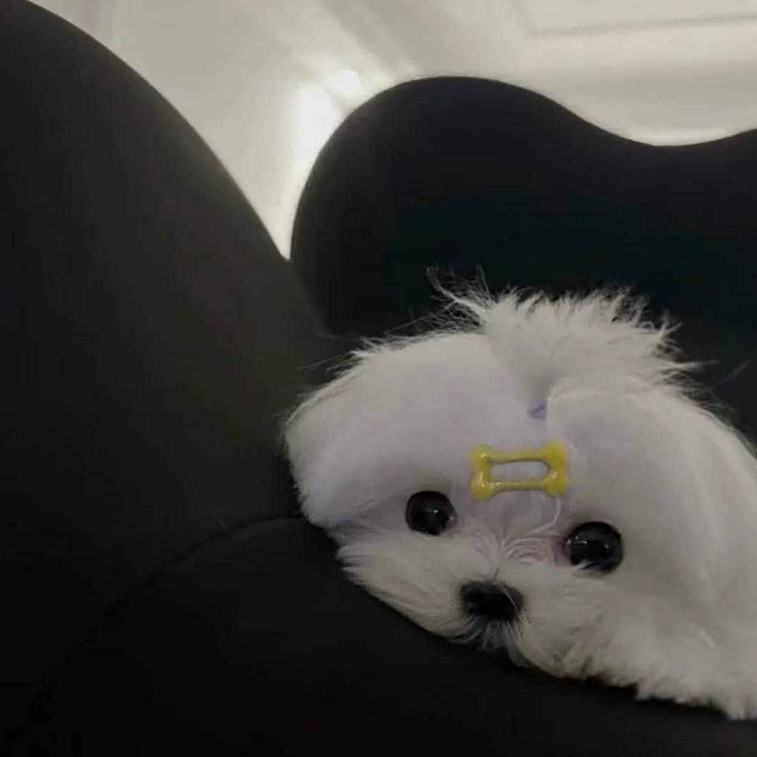 卉