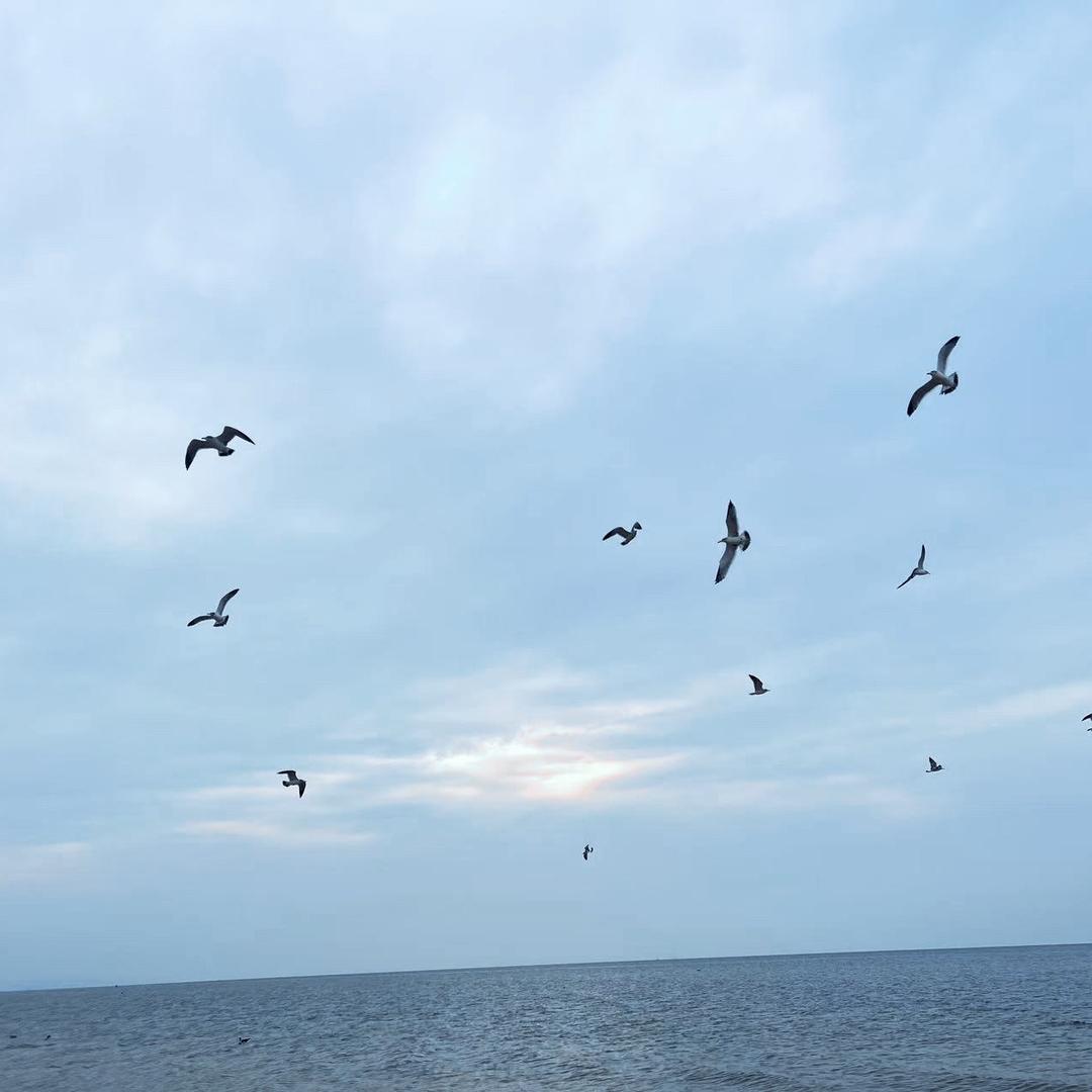 林深时见鹿