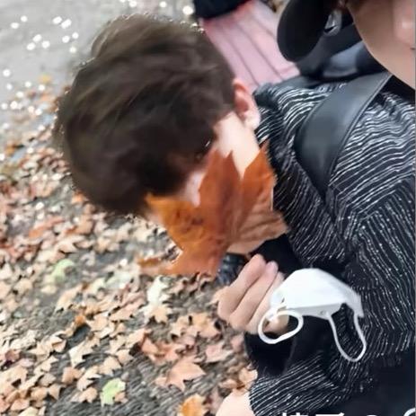 豆