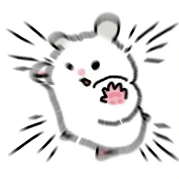 失眠小鱼干_
