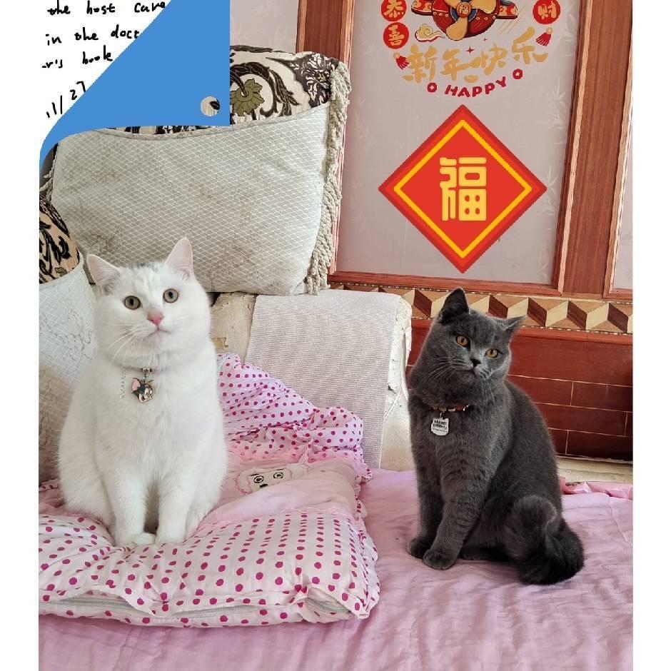 西溪·