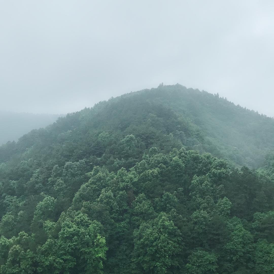 唐玲