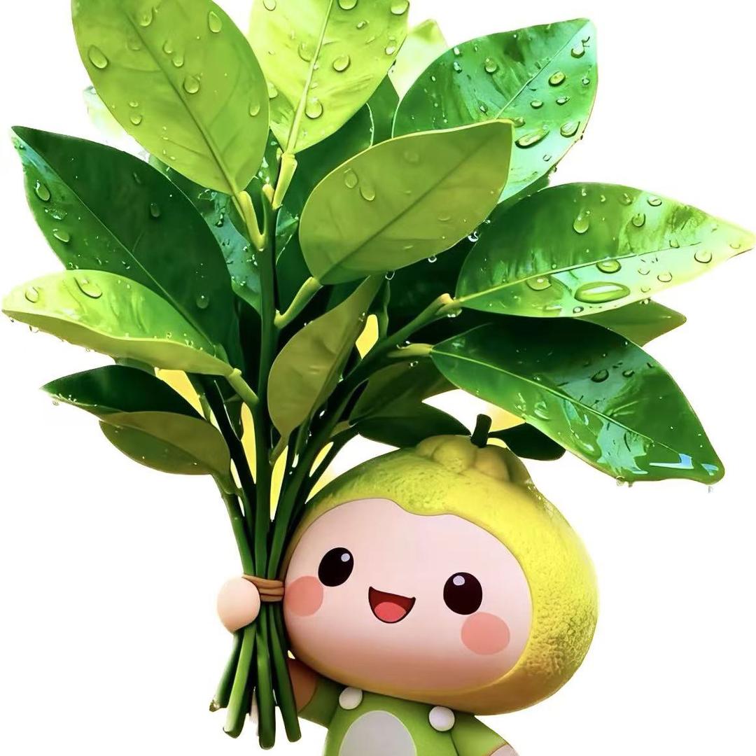@半熟糯米饭👒