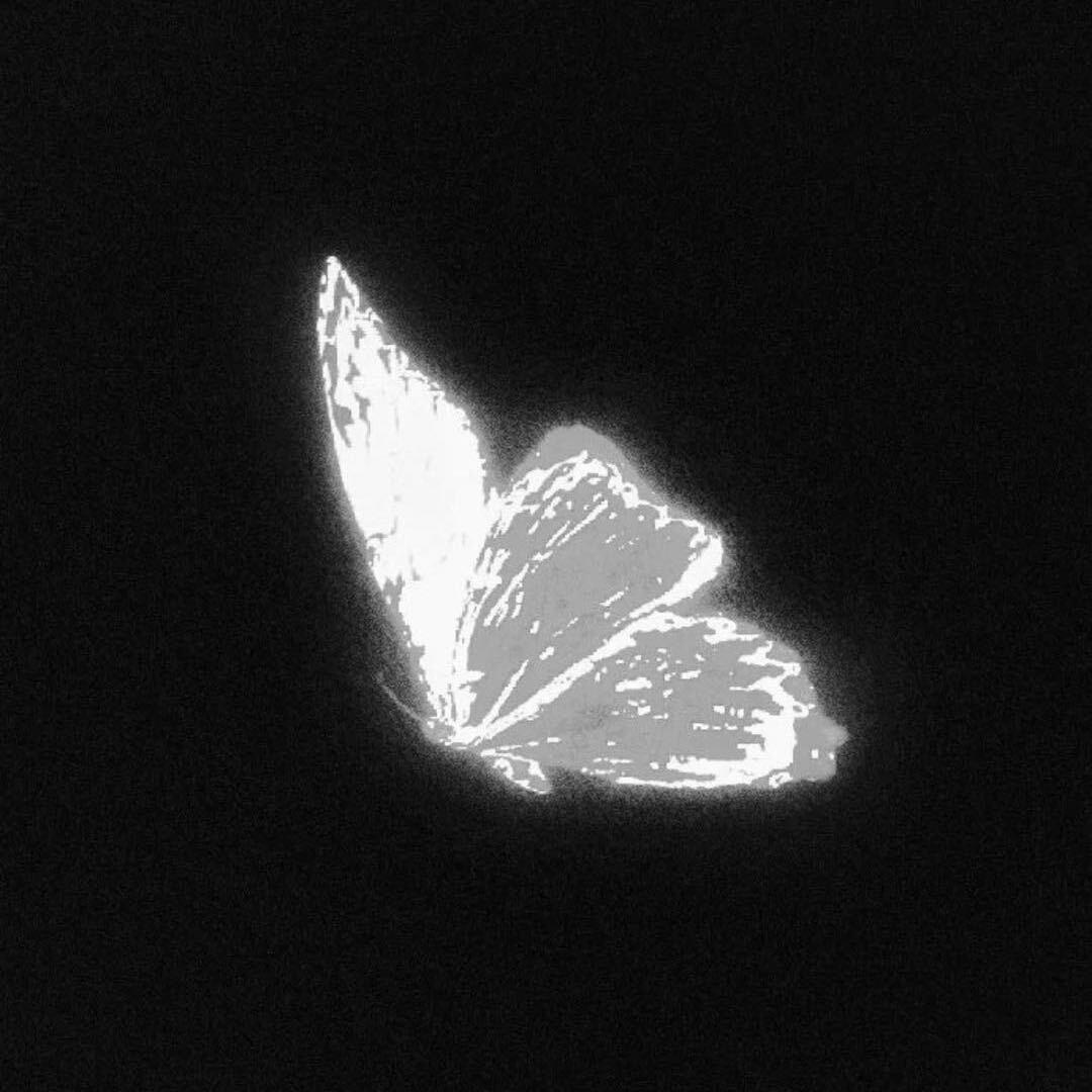 Moonquakes-YMH