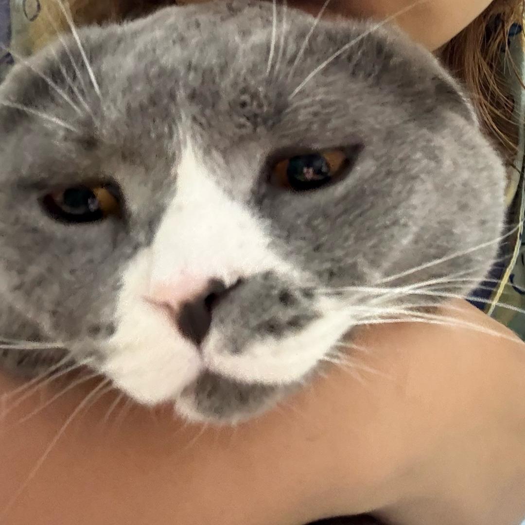 可口可瓜