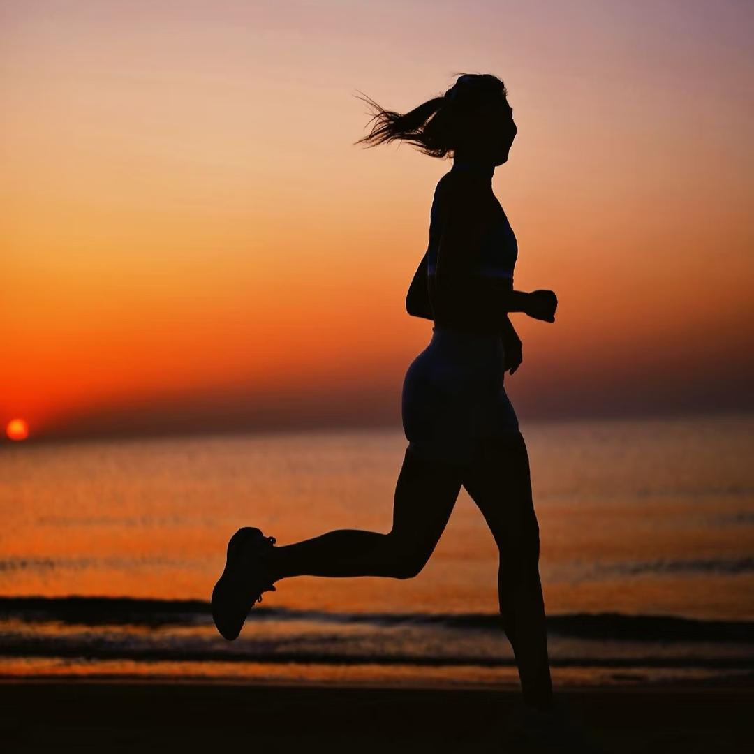 每日KZ英语单词本