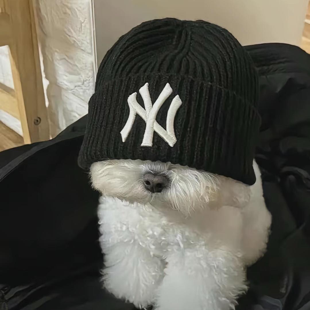 如果我不丑