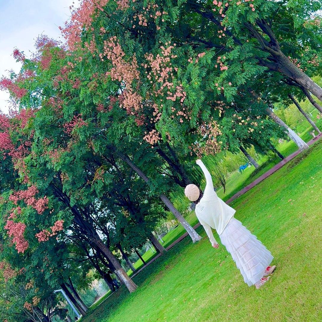 薄。年