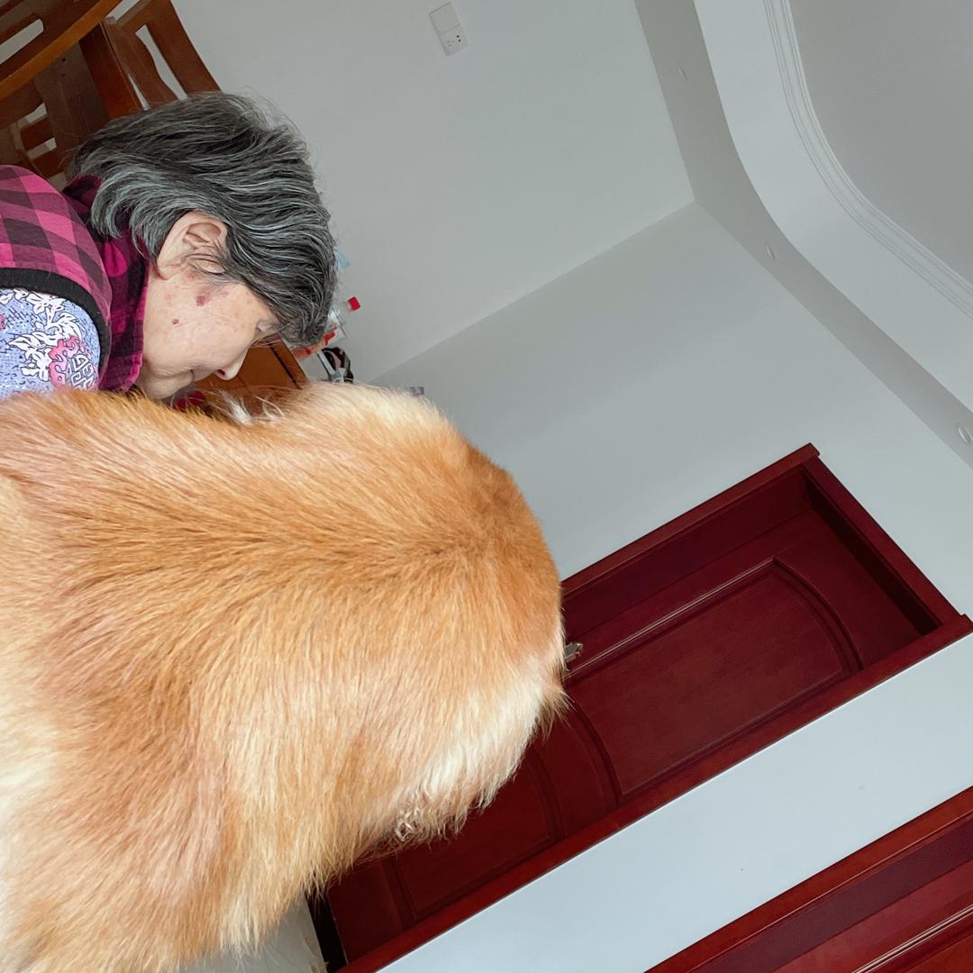 陈豆豆要吃鸡腿儿