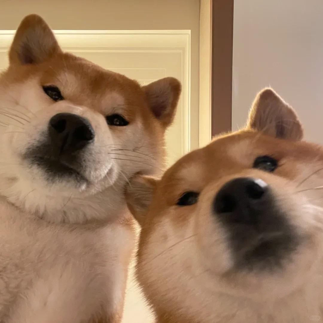 OK绷