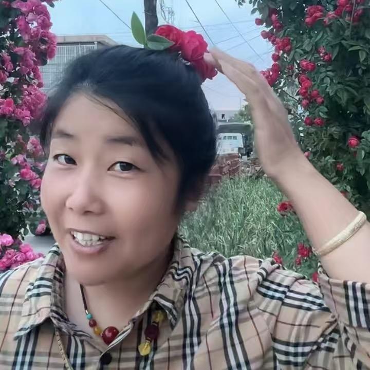 小平（密导团队）