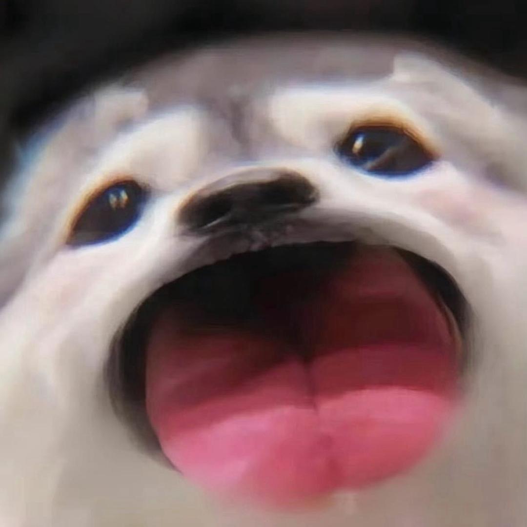 轲